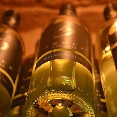 Mini-hôtel Zur Haltestelle 3*