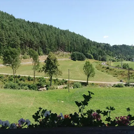 Zur Haltestelle 여관 Lasberg