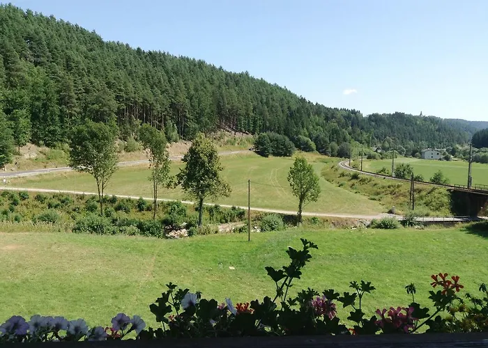 Zur Haltestelle Inn Lasberg